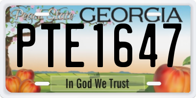 GA license plate PTE1647