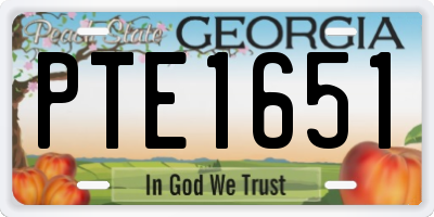 GA license plate PTE1651