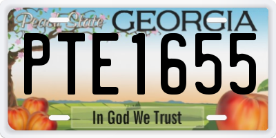 GA license plate PTE1655