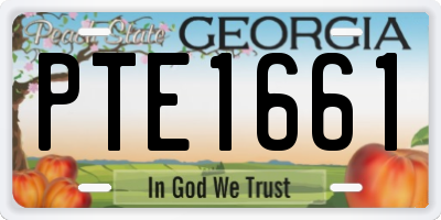 GA license plate PTE1661