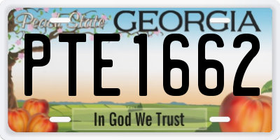 GA license plate PTE1662