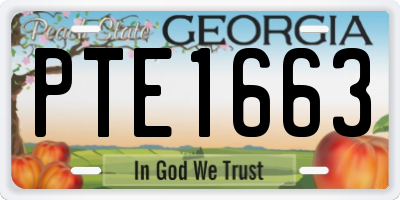 GA license plate PTE1663