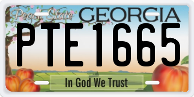 GA license plate PTE1665