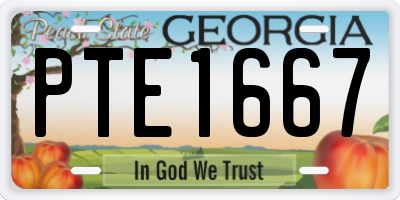 GA license plate PTE1667