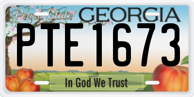 GA license plate PTE1673