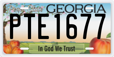 GA license plate PTE1677