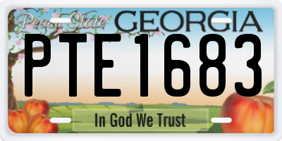 GA license plate PTE1683