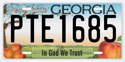 GA license plate PTE1685
