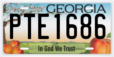 GA license plate PTE1686