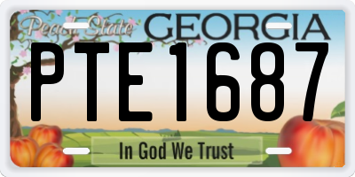 GA license plate PTE1687