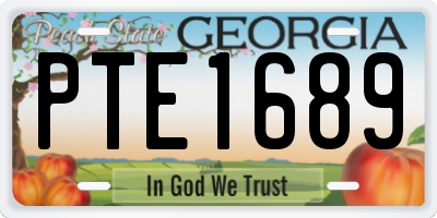 GA license plate PTE1689