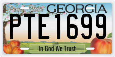 GA license plate PTE1699