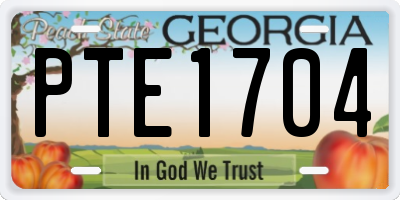 GA license plate PTE1704