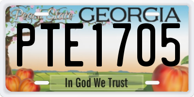 GA license plate PTE1705