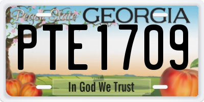 GA license plate PTE1709
