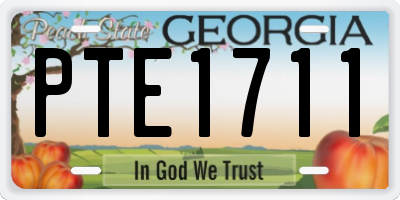 GA license plate PTE1711