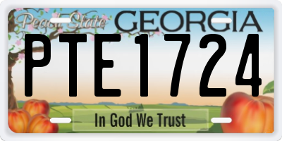 GA license plate PTE1724
