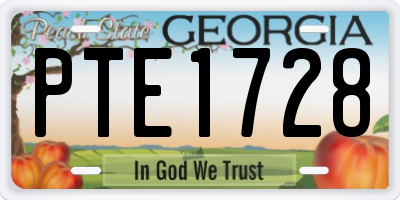 GA license plate PTE1728