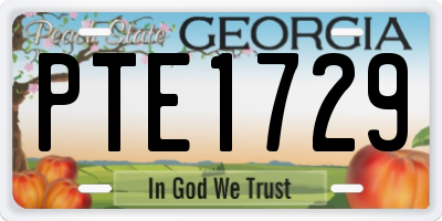 GA license plate PTE1729