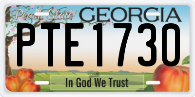 GA license plate PTE1730