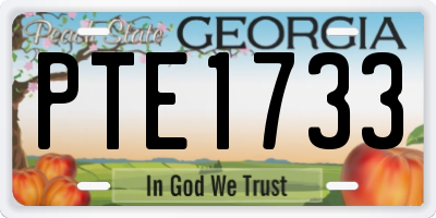 GA license plate PTE1733