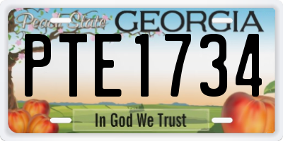 GA license plate PTE1734