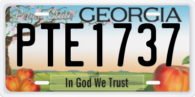 GA license plate PTE1737