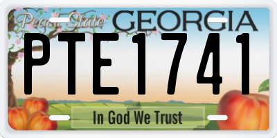 GA license plate PTE1741