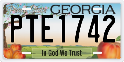 GA license plate PTE1742