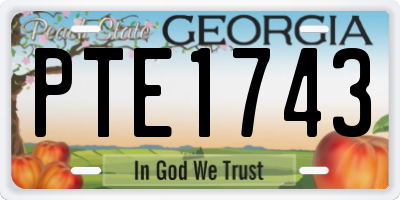 GA license plate PTE1743