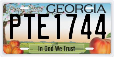 GA license plate PTE1744