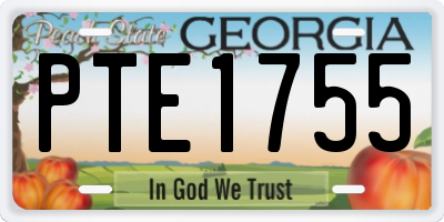 GA license plate PTE1755