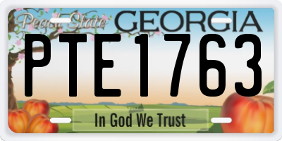 GA license plate PTE1763