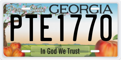 GA license plate PTE1770