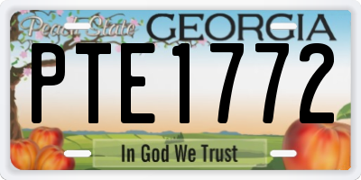 GA license plate PTE1772