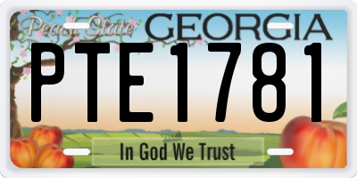 GA license plate PTE1781