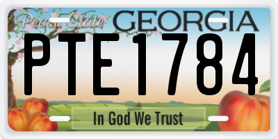 GA license plate PTE1784