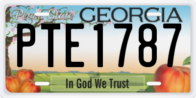 GA license plate PTE1787