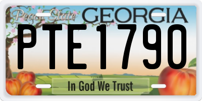 GA license plate PTE1790