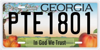 GA license plate PTE1801