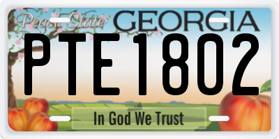 GA license plate PTE1802