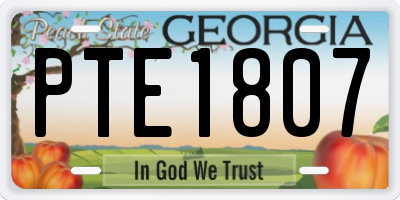 GA license plate PTE1807