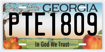 GA license plate PTE1809