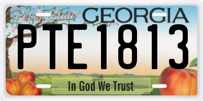 GA license plate PTE1813