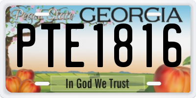 GA license plate PTE1816