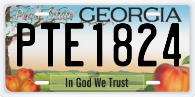 GA license plate PTE1824