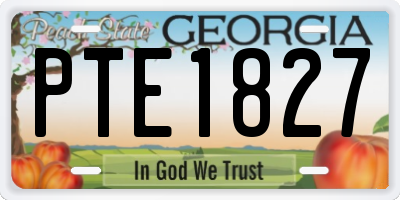 GA license plate PTE1827