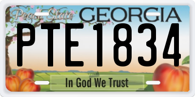 GA license plate PTE1834