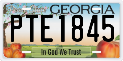 GA license plate PTE1845