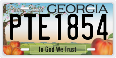 GA license plate PTE1854